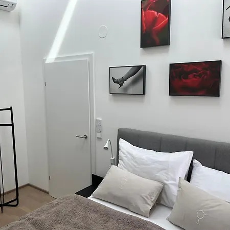 Haus Fuenf Mit 2 Und Studio-loft Mit Terrasse Apartament Melk