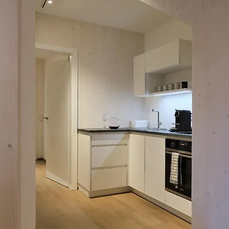Apartament Haus Fuenf Mit 2 Und Studio-loft Mit Terrasse