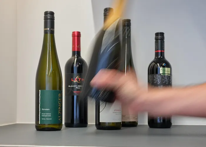 דירה Haus Fuenf Mit 2 Und Studio-loft Mit Terrasse מלק