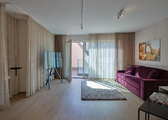 Haus Fünf Mit 2 Und Studio-loft Mit Terrasse Apartment Melk